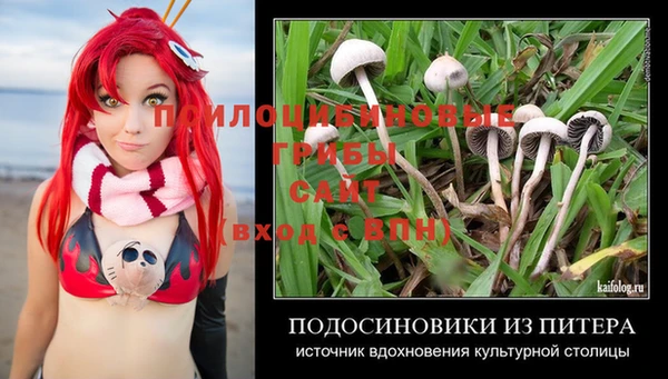 2c-b Дмитров