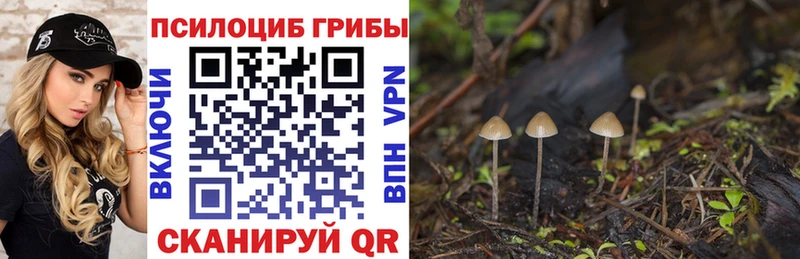 что такое   Котово  Псилоцибиновые грибы Cubensis 